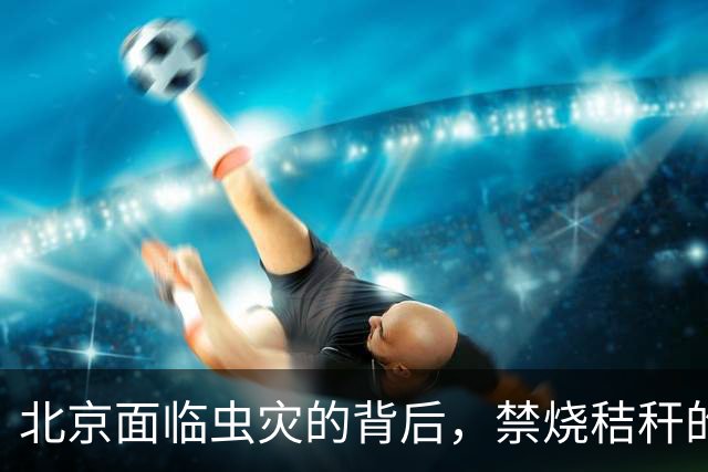 北京面临虫灾的背后，禁烧秸秆的生态隐患