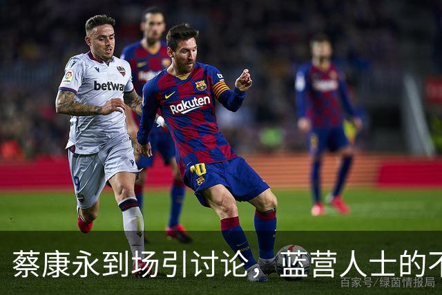 蔡康永到场引讨论，蓝营人士的不同声音与应对